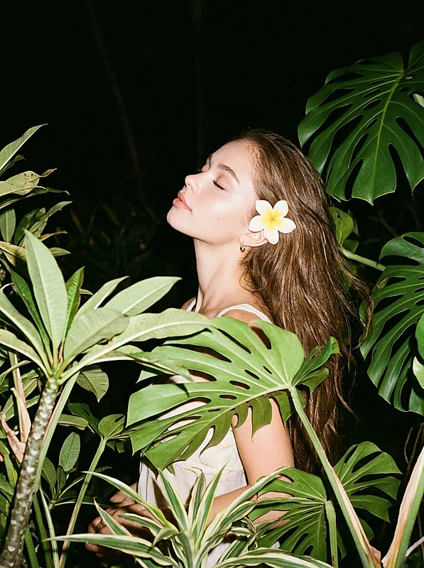 Tropical Flash